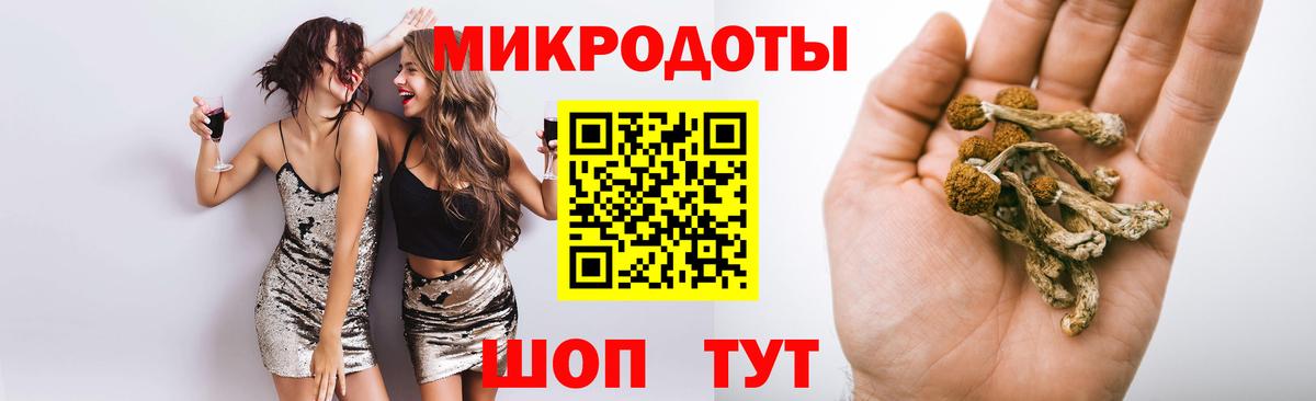 Сальск  Псилоцибиновые грибы Magic Shrooms  Вход с VPN 